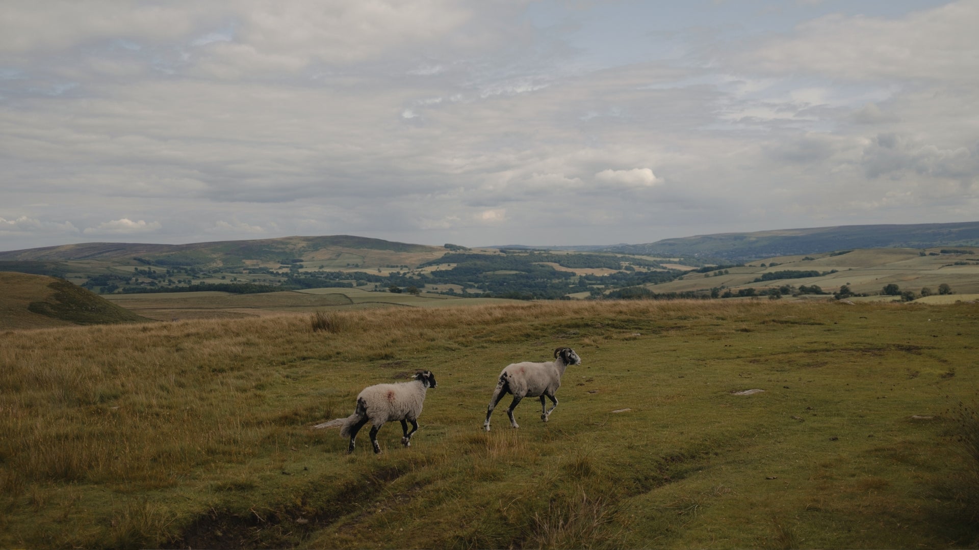 BTS: Behind the Seams