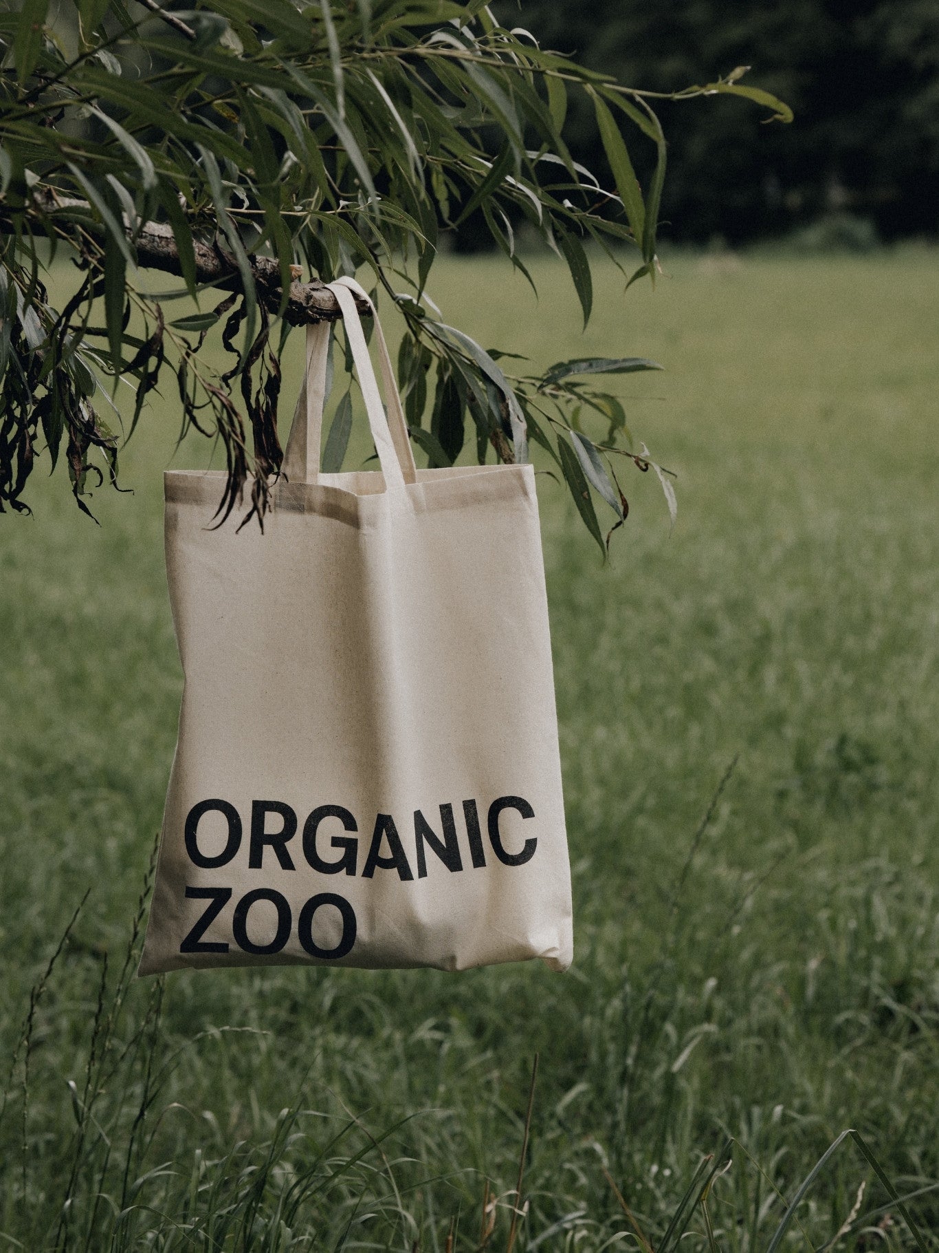 A Personal Note from Paulina