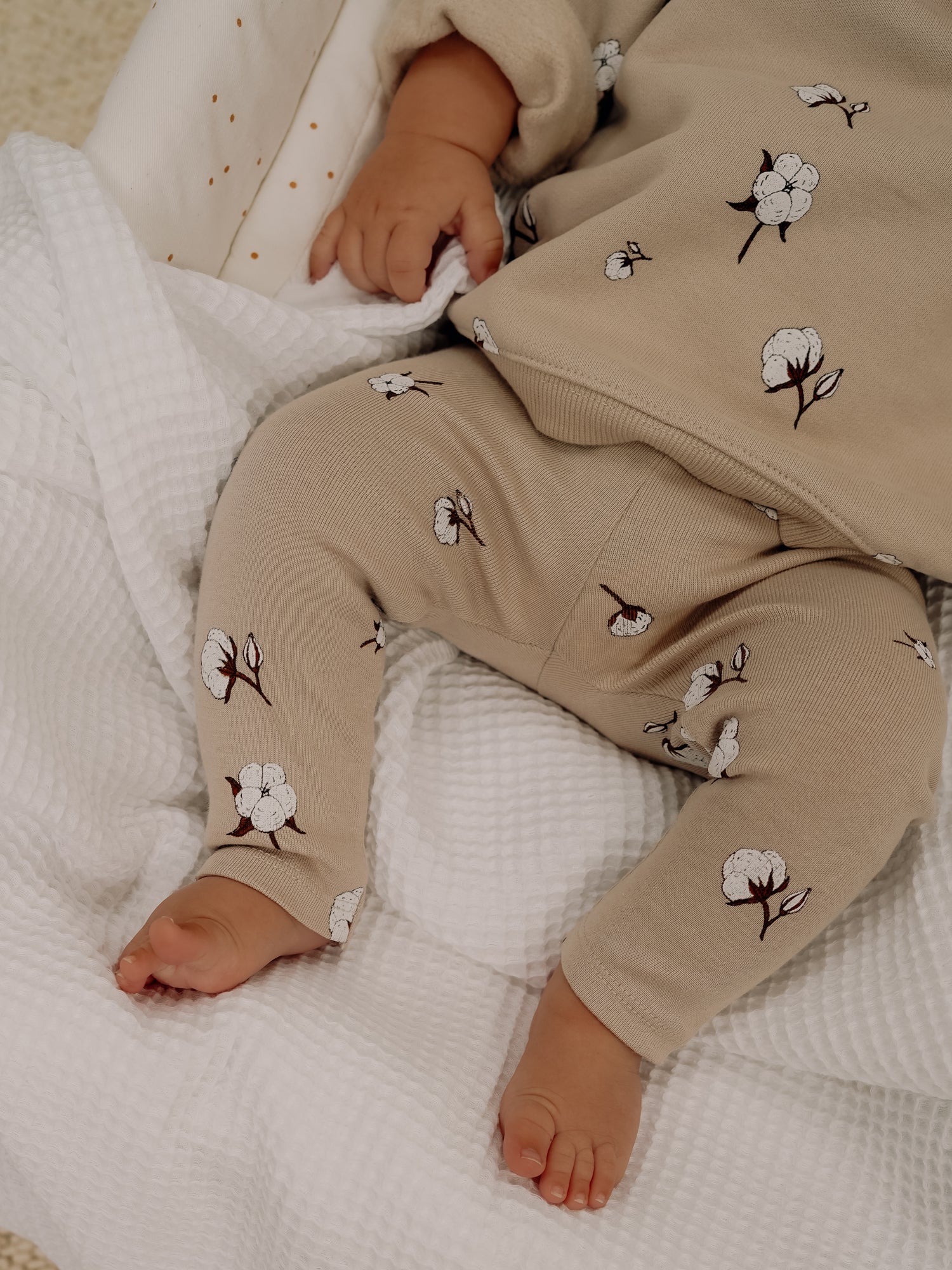 Cottonfield Collection ~ Organic Zoo