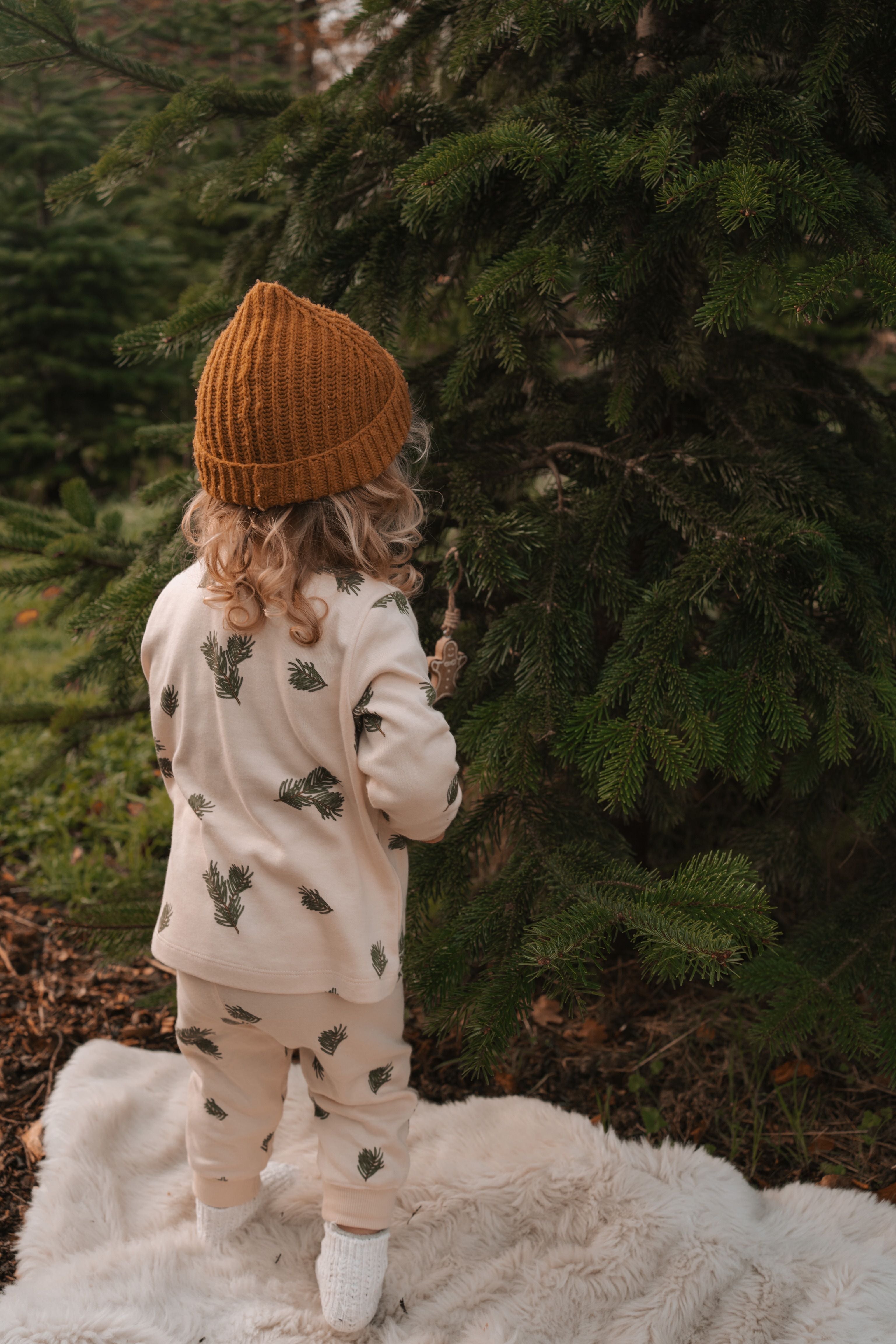 Pine Forest Pyjamas | Organic Zoo