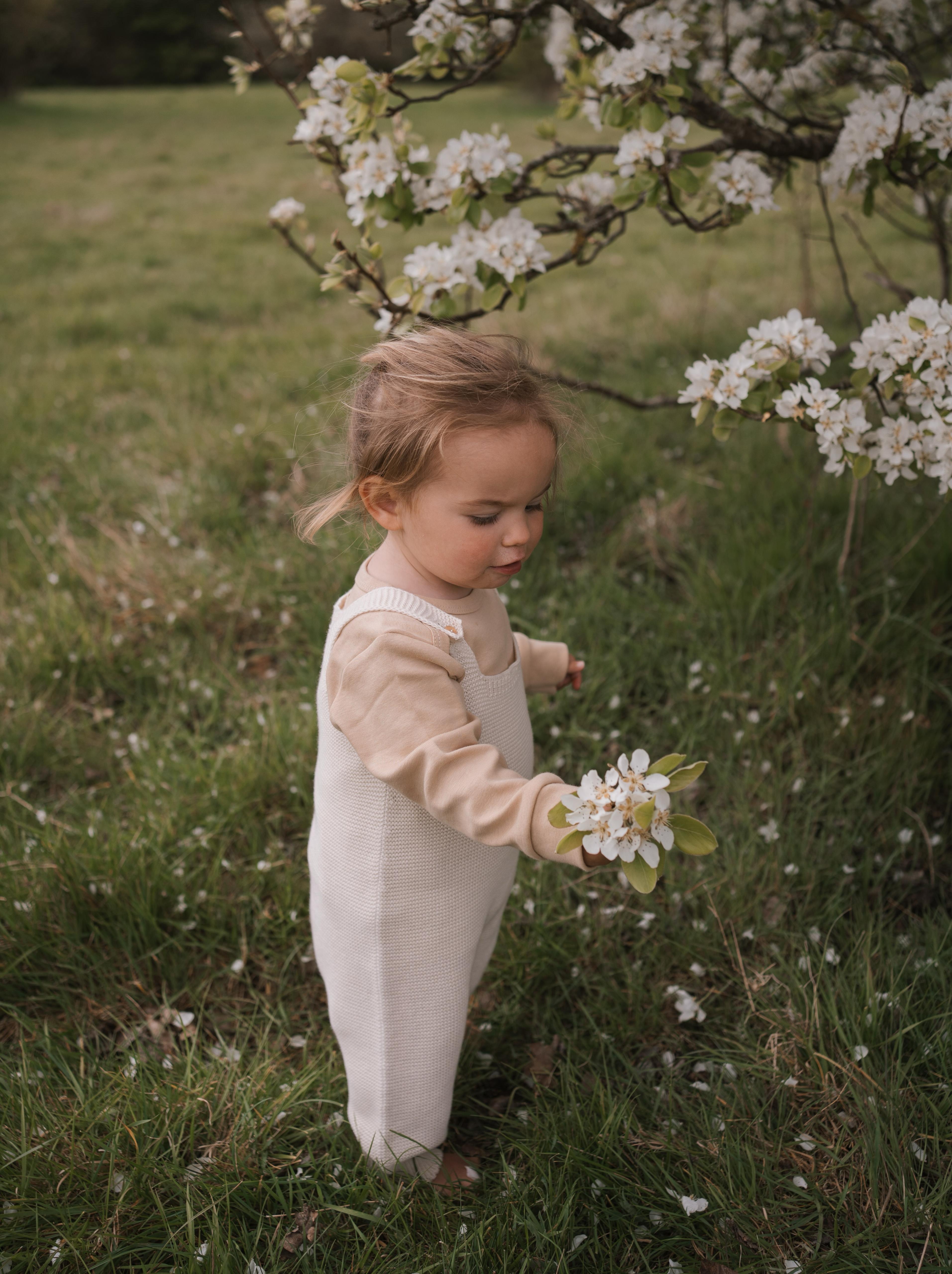 toddler in cream knitted cotton salopette and long sleeve shirt standing near tree holding flowers