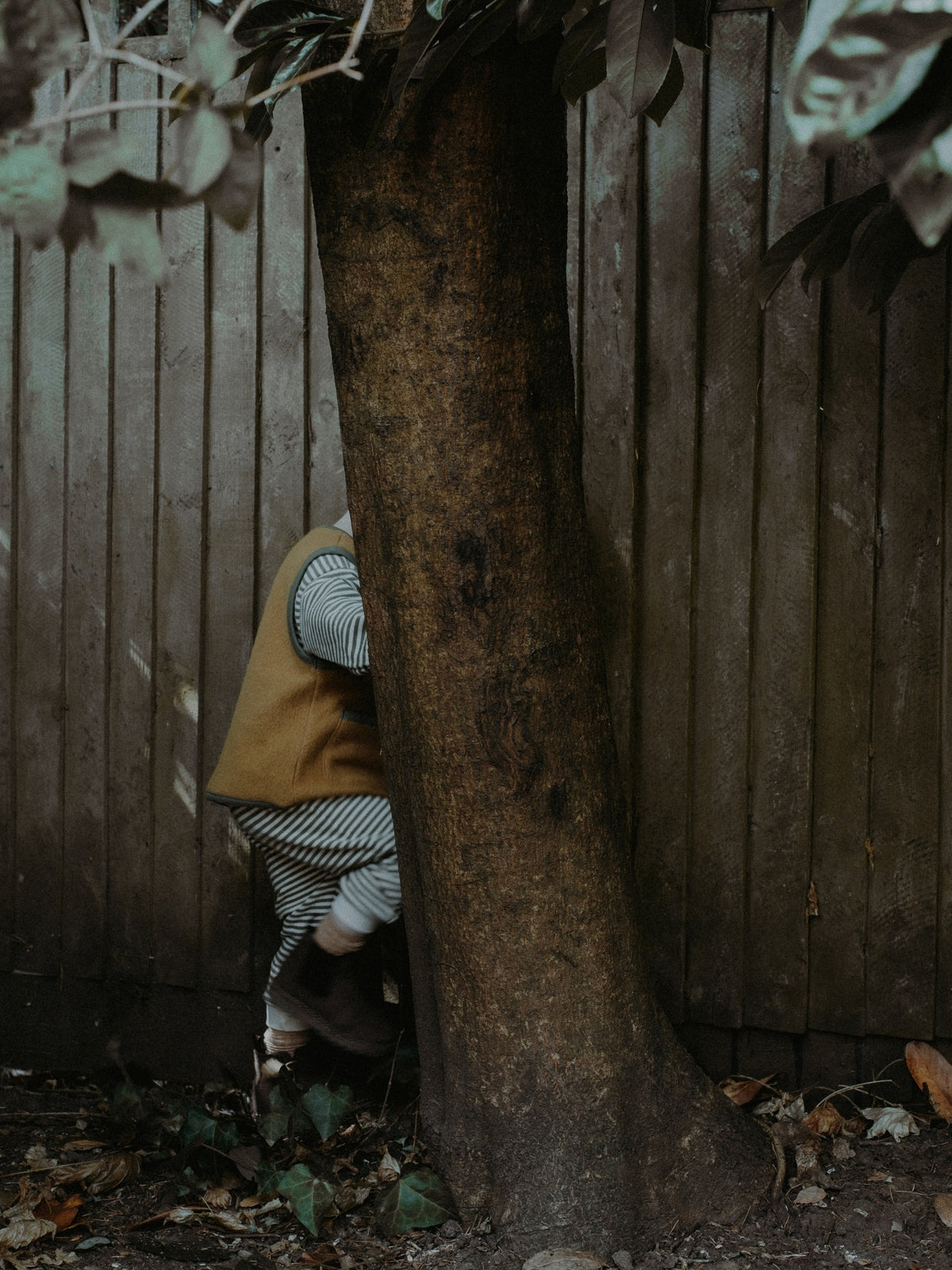 A child in a mustard yellow vest and striped shirt crouches behind a large tree trunk next to a weathered wooden fence.