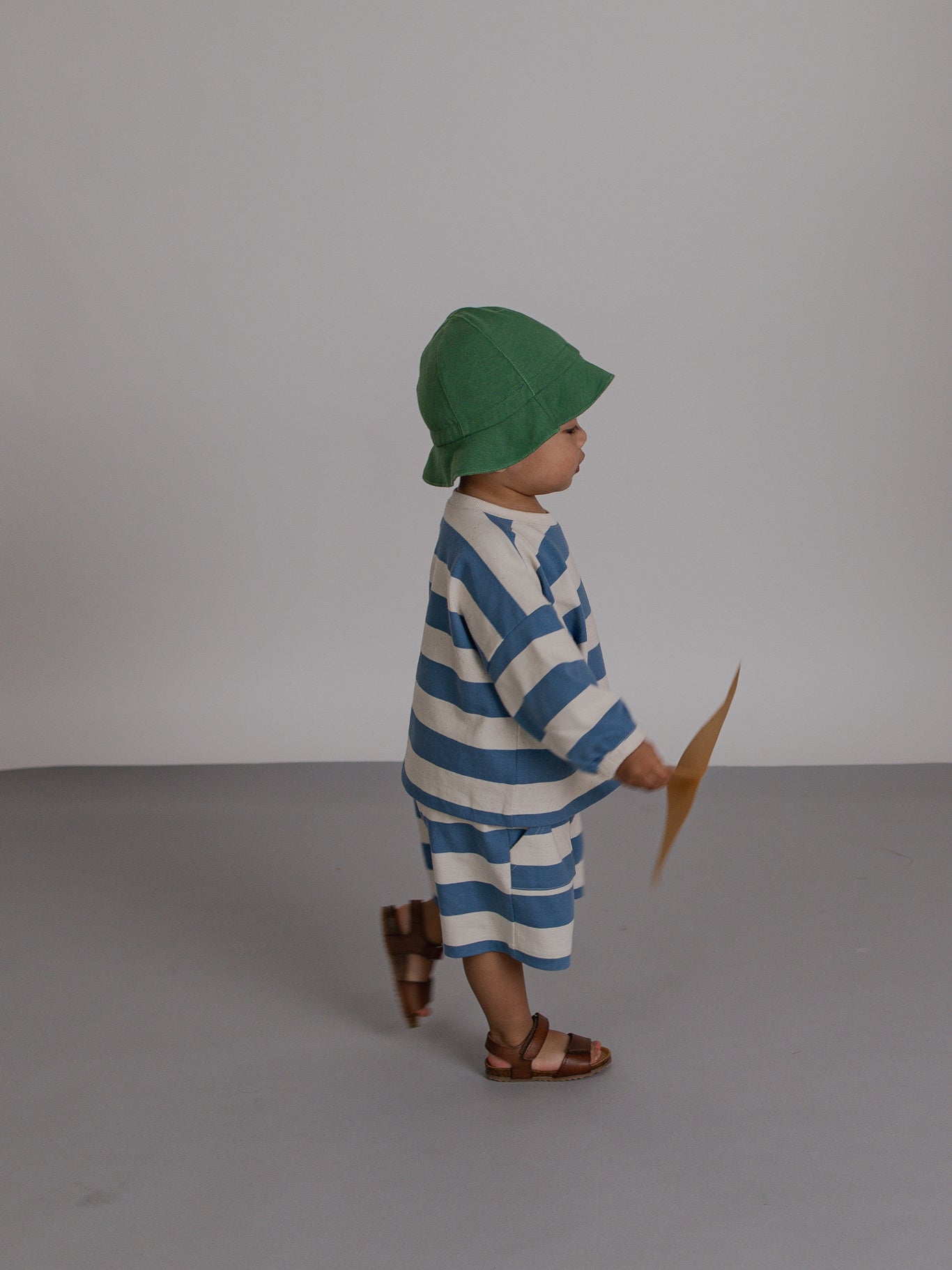 Deck Chair Stripes Bermudas