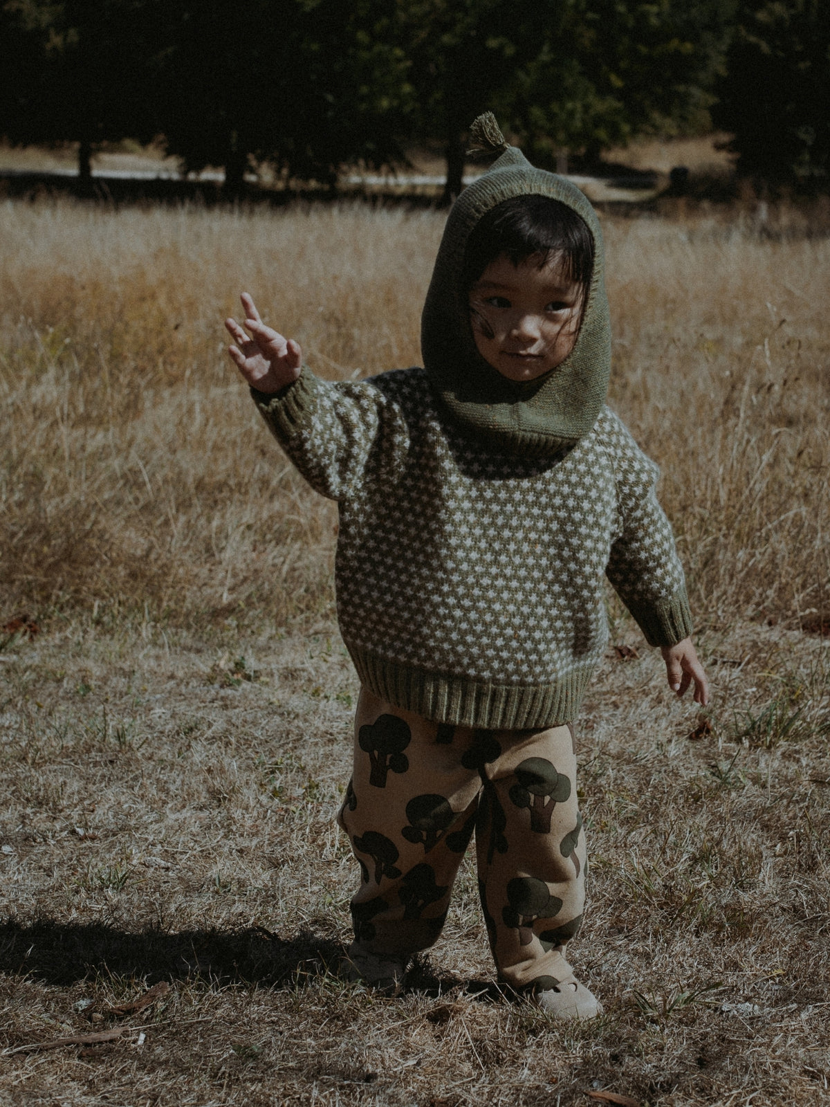 A toddler standing outdoors in a dry grassy field, wearing a knitted hooded sweater and matching patterned pants.