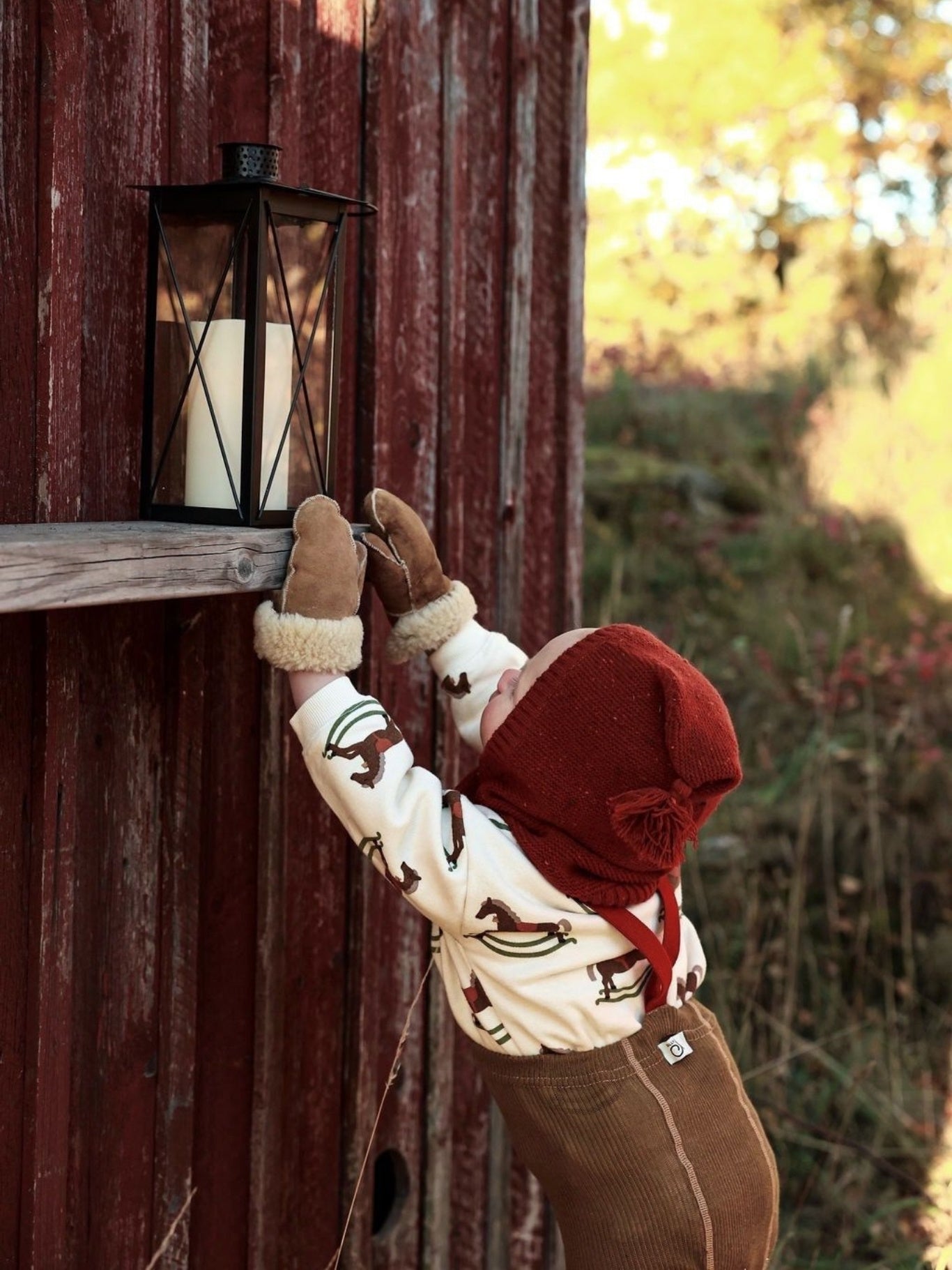 Acorn Brown Tights with Maple Leaf Braces
