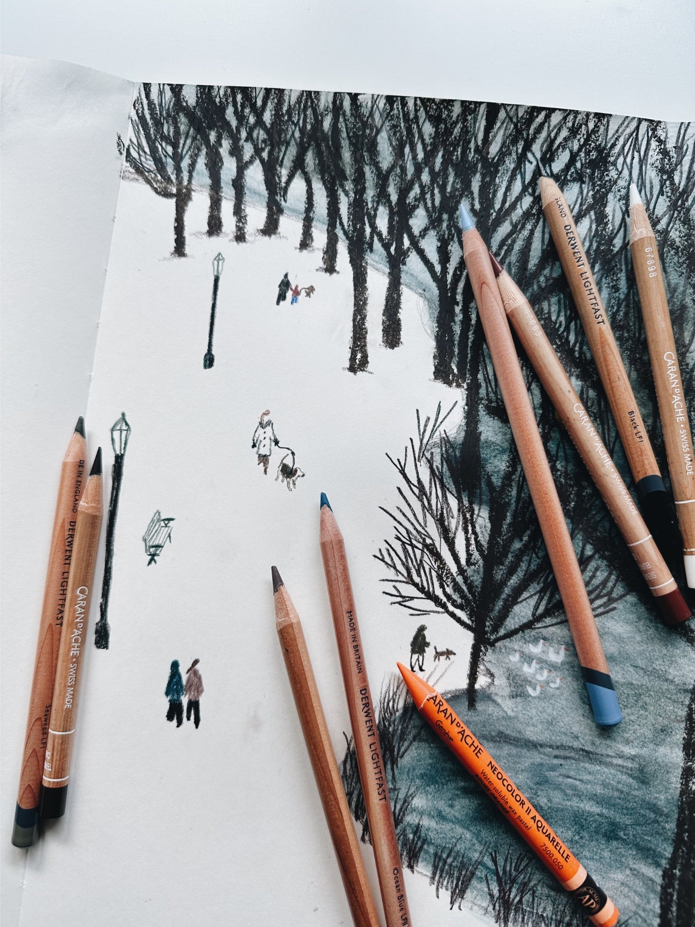 Wintry Park - Print - See You See Me