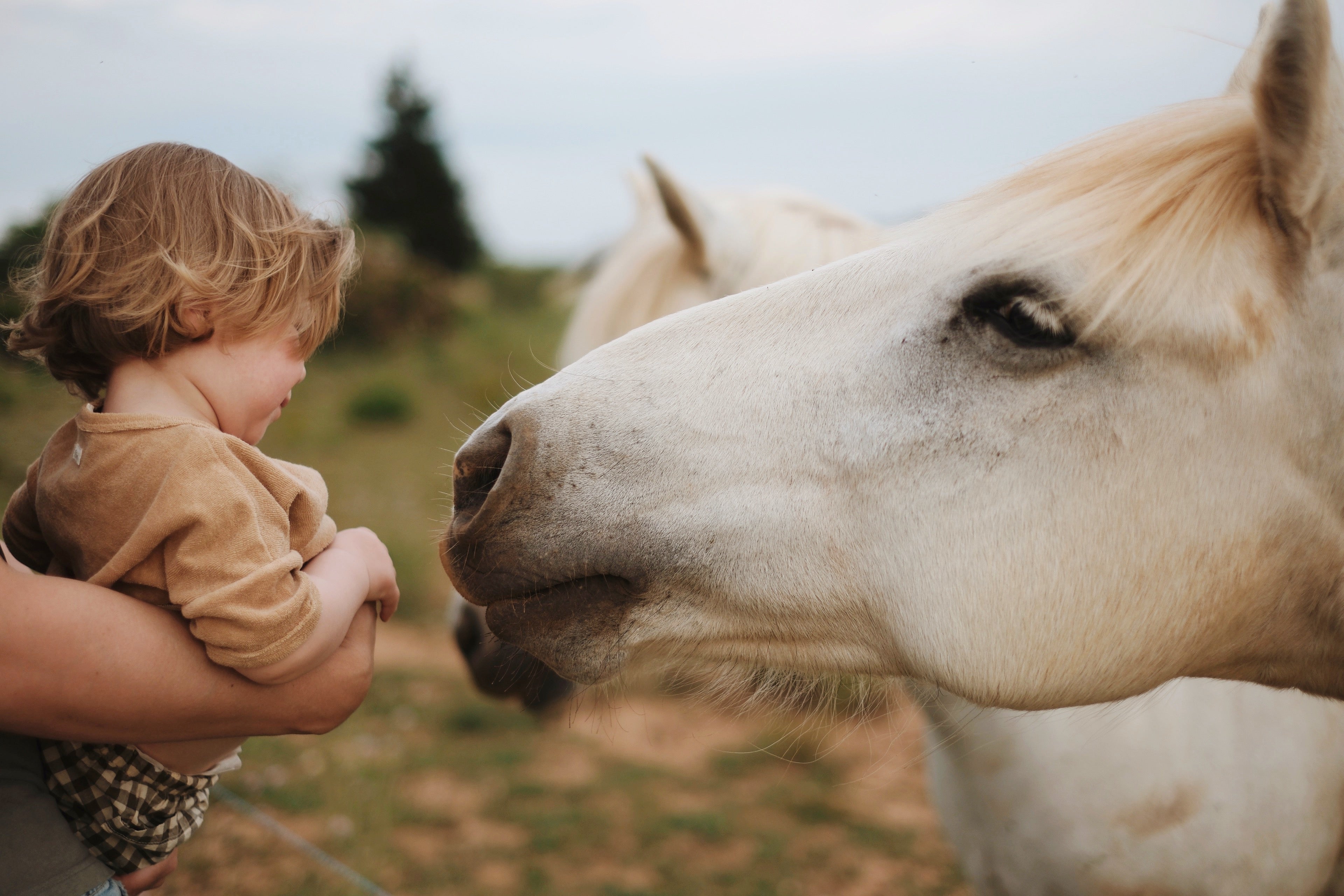 Fun, Food and Friends!