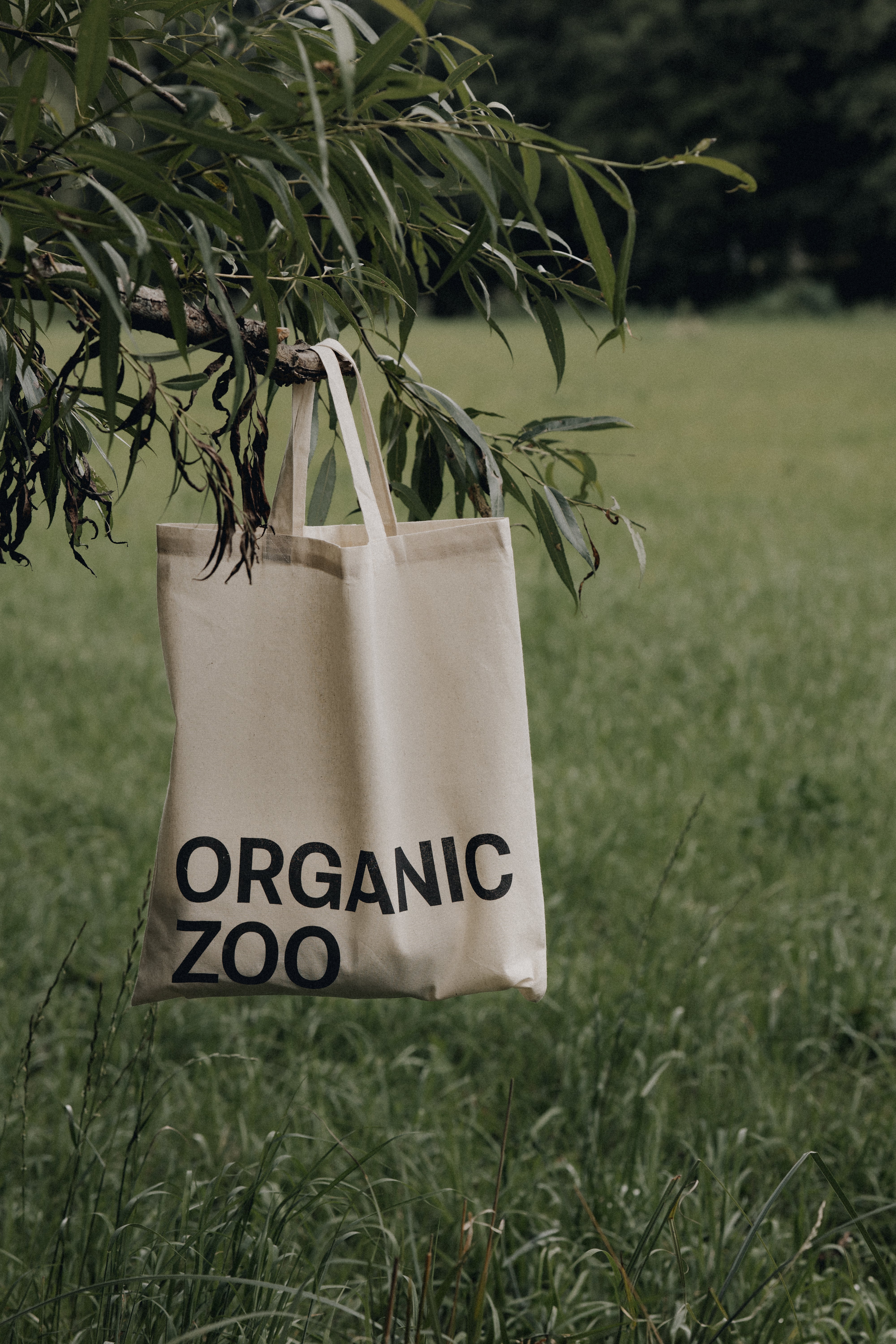 Take a peek at the new us