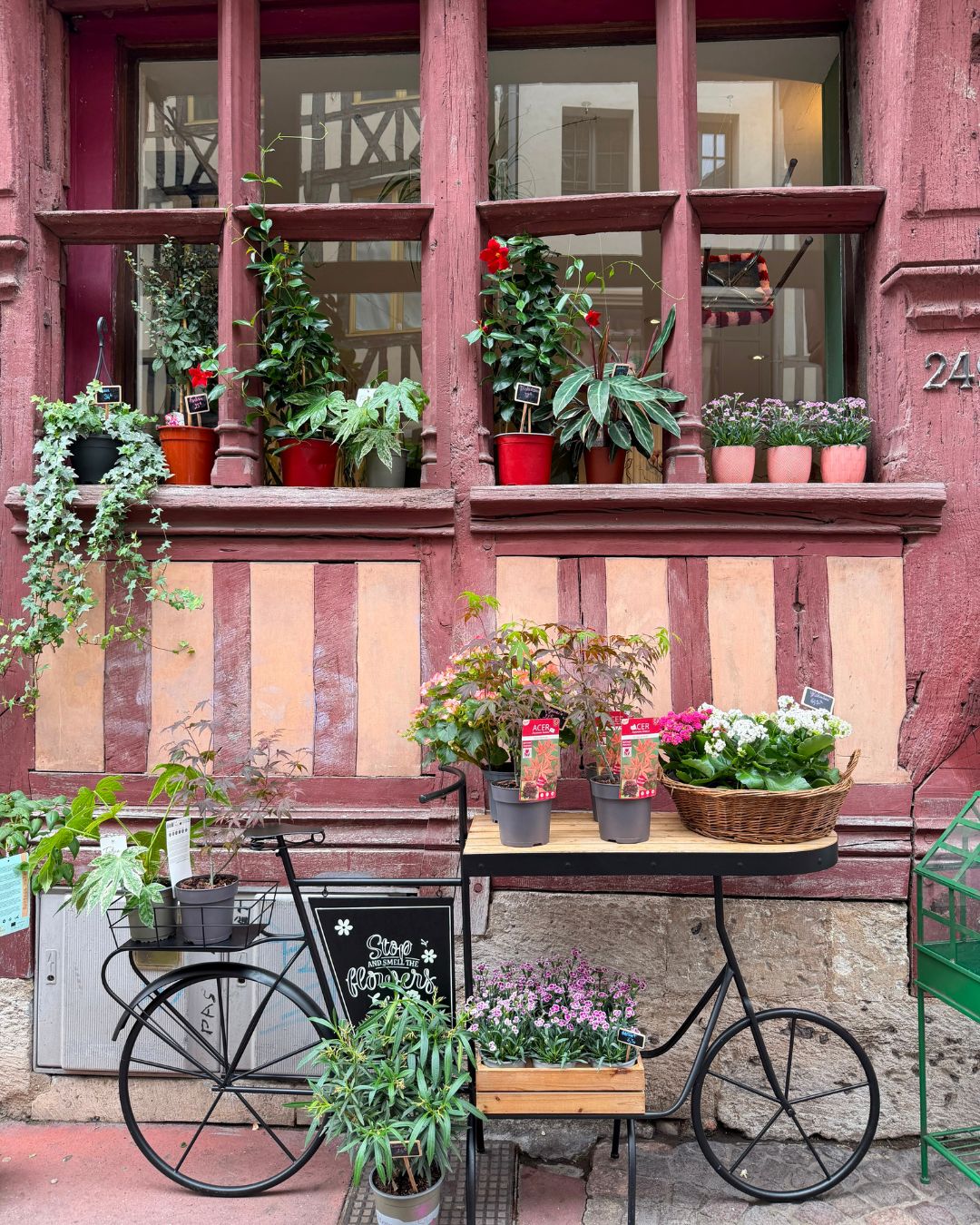 Postcards from France