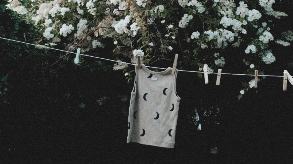 Summer Farniente with Alice Walker