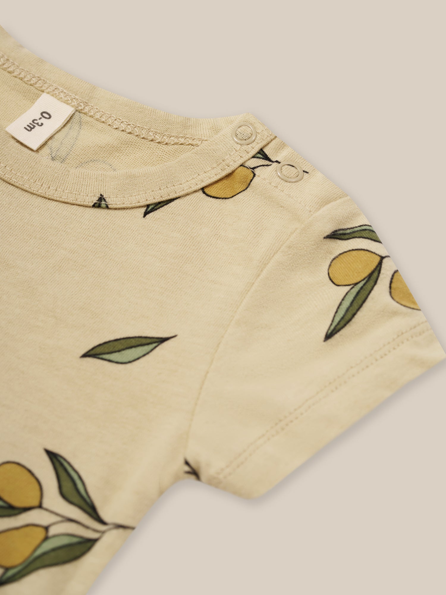 Olive Garden Short Sleeve Bodysuit | Organic Zoo