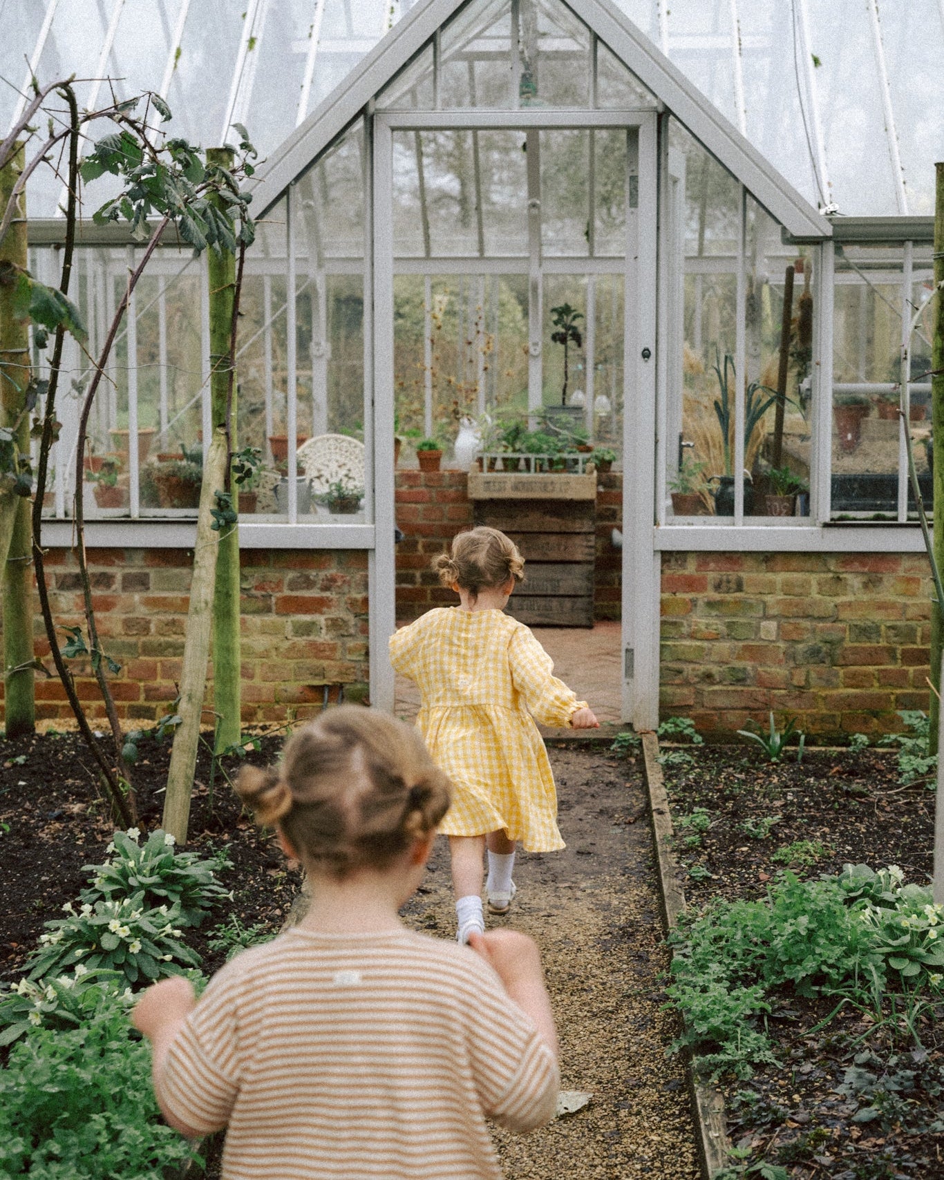 Story Behind SS26 Watch Me Grow ~ Organic Zoo