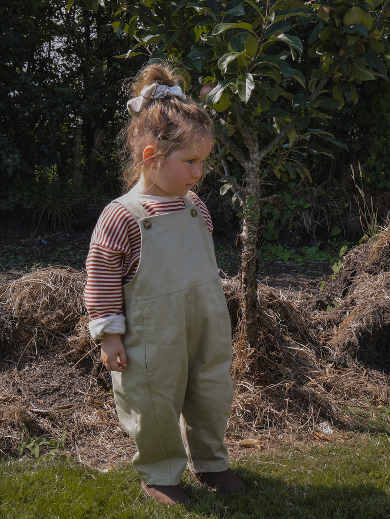 child in long-sleeve shirt with grey overalls & bun hairdo standing in front of sapling in garden