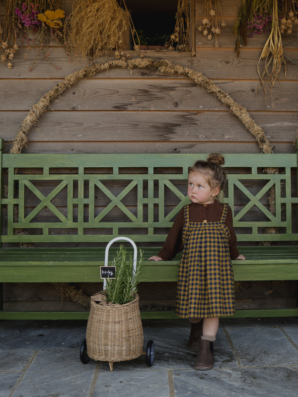 child in wool cardigan & navy & yellow gingham flannel apron-style skirt standing beside rattan trolley with herbs