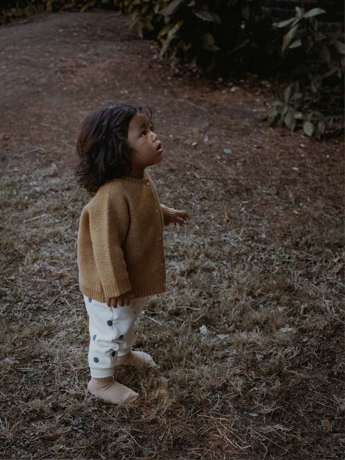 A toddler standing outdoors on dry grass and dirt, wearing a tan knit sweater and white pants with small dark polka dots.