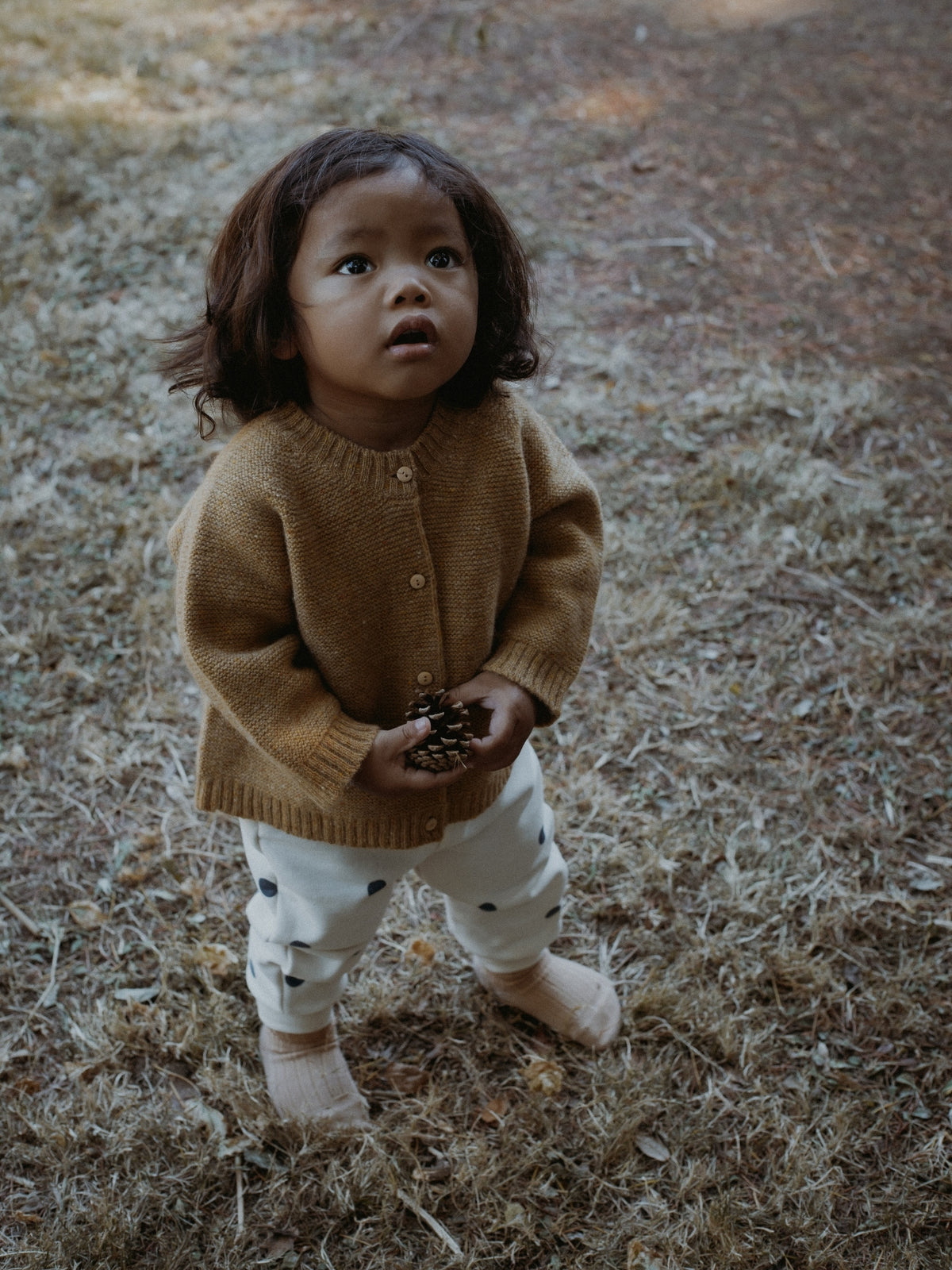 A toddler standing outdoors on dry grass, wearing a tan knit cardigan, white pants with small black dots, and beige socks, holding pinecones.