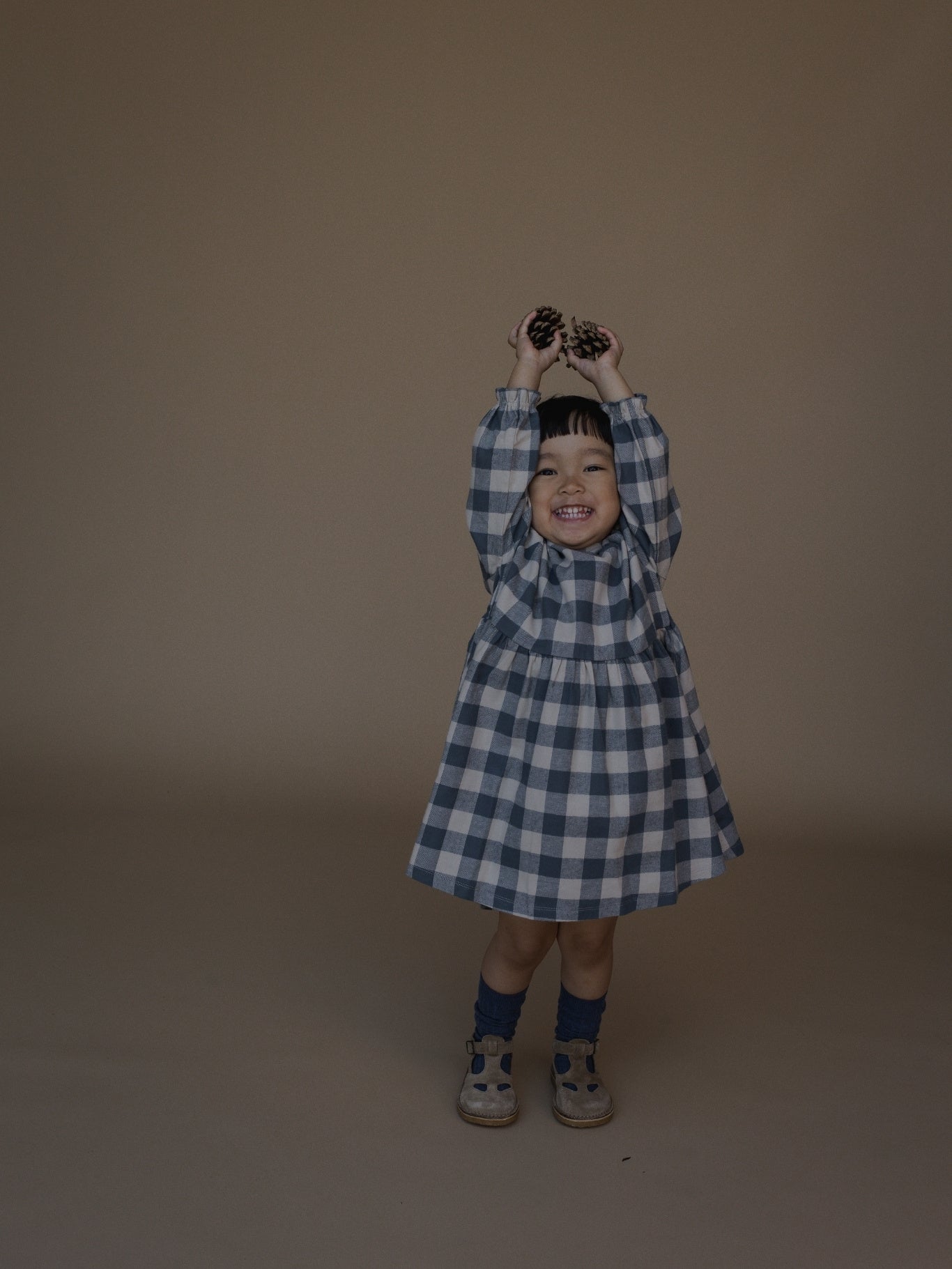 Fog Blue Gingham Field Dress ~ Organic Zoo