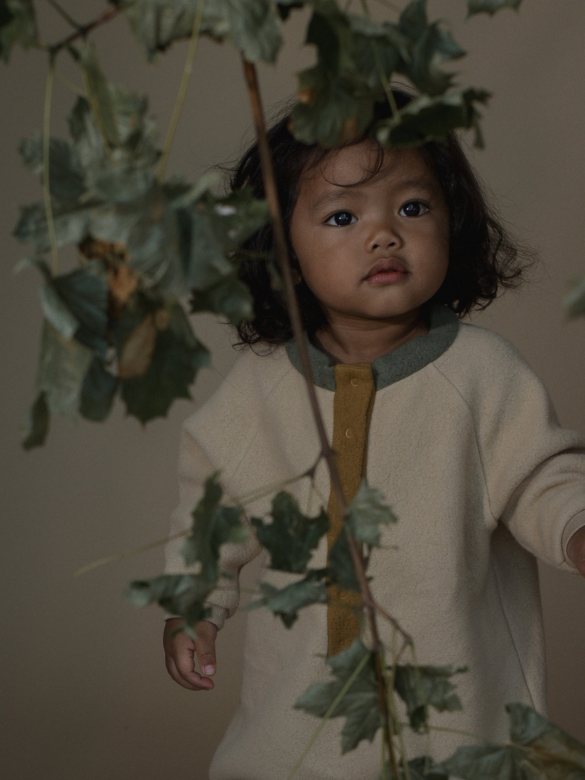 A toddler wearing a cream knit long-sleeve top with a mustard yellow front placket and gray collar, standing behind hanging green leaves against a warm beige background.