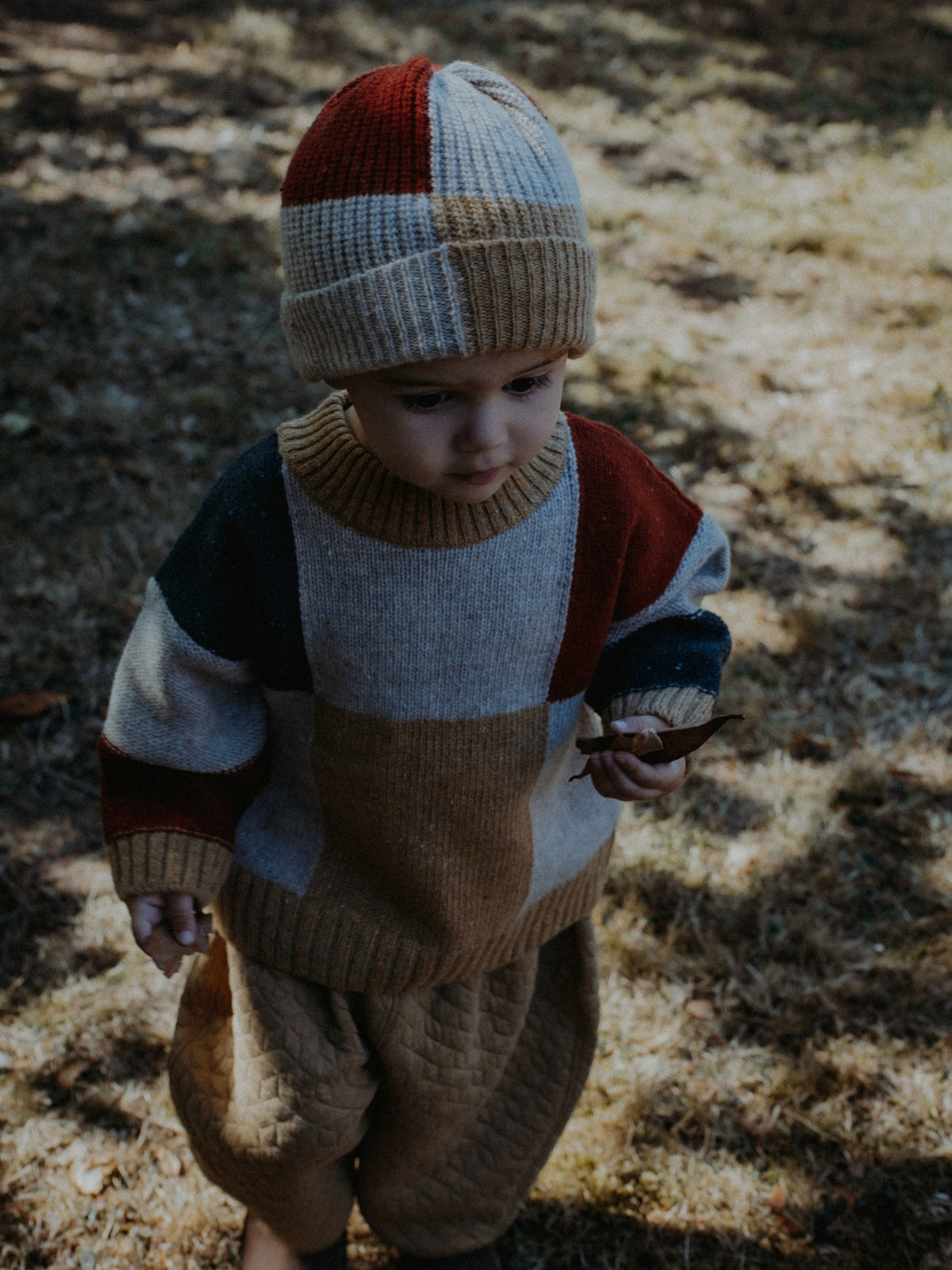 A toddler wearing a chunky knit color-block sweater, matching knit pants, and a knit beanie hat, standing outdoors on dry grass with dappled sunlight and shadows.