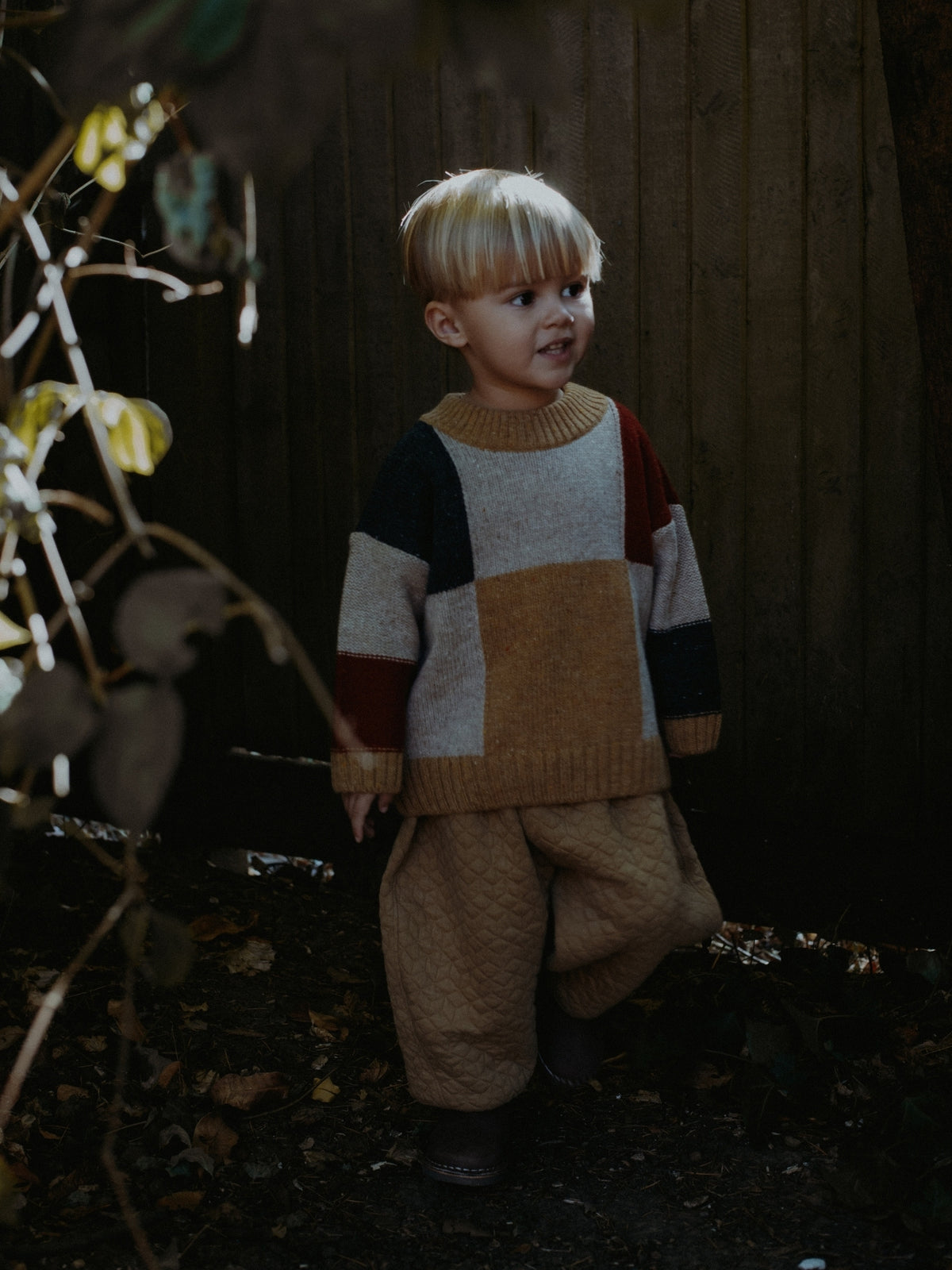 A young child wearing a multi-colored patchwork knit sweater and matching knit pants, standing in a dark outdoor setting with foliage in the foreground.