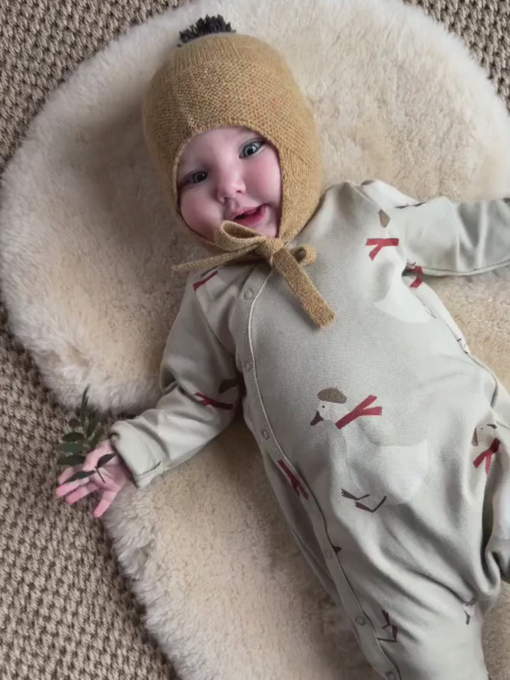 Christmas Goose Suit