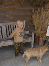 toddler in sweater with FRIENDS WITH NATURE text & checkered flannel pants standing beside brown dog