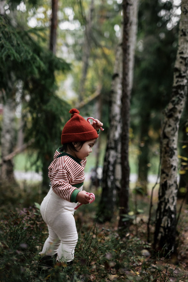 toddler in christmas stripes sweatshirt & holly sweatshirt with tights beanies & boots playing in forest