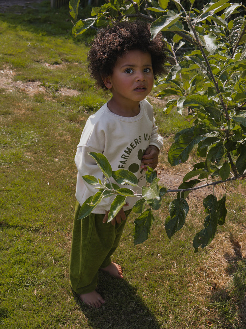 toddler dressed in green cotton cord long pants with cream sweatshirt standing beside tree sapling