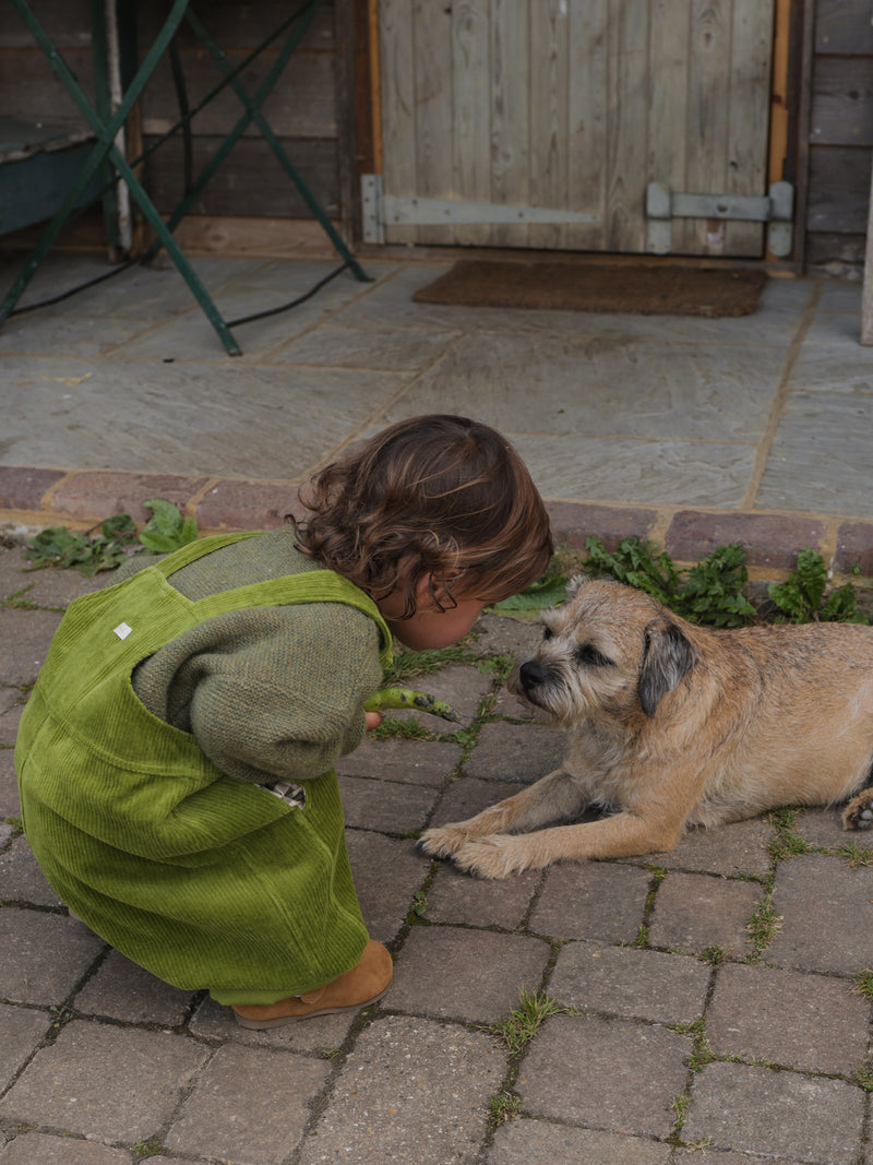 toddler in green cotton cord overalls & wool jumper squatting down in front of brown dog