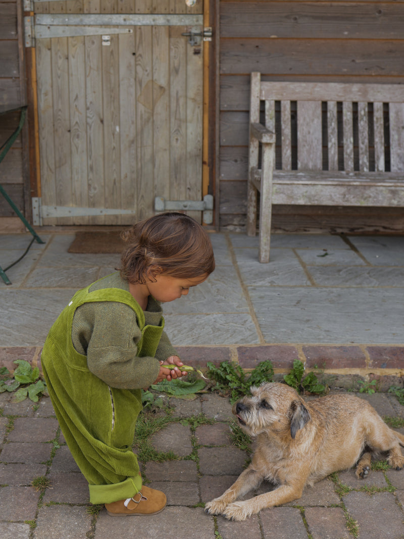 toddler in pea pod green cotton cord dungarees & wool jumper playing with brown dog