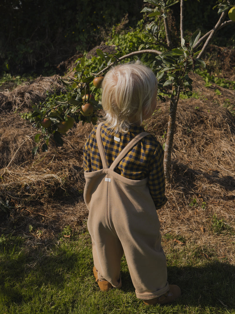 toddler wearing flannel gingham shirt & terry cotton beige dungarees & brown shoes standing in front of sapling