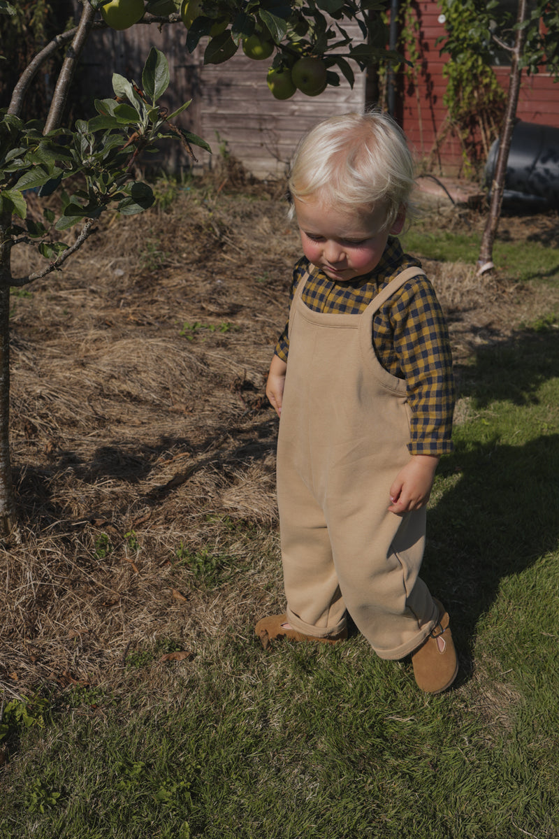 toddler wearing checkered long-sleeve shirt & beige dungarees & brown shoes standing in garden with saplings