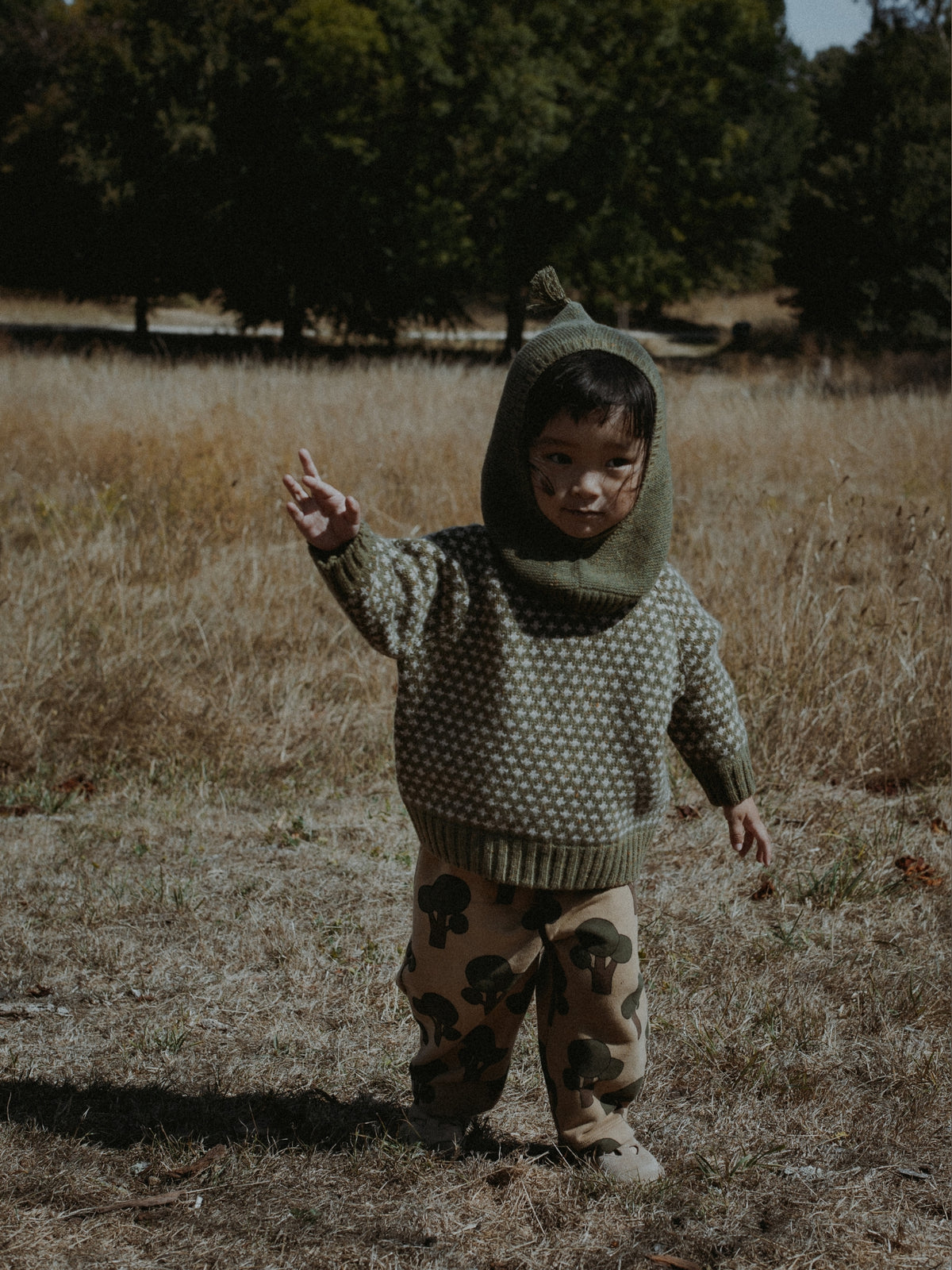 A toddler standing in a dry grassy field wearing a knitted hooded sweater and patterned pants in earthy olive, beige, and black tones.