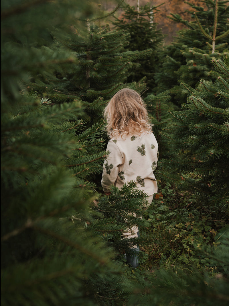 Pine Forest Pyjamas | Organic Zoo