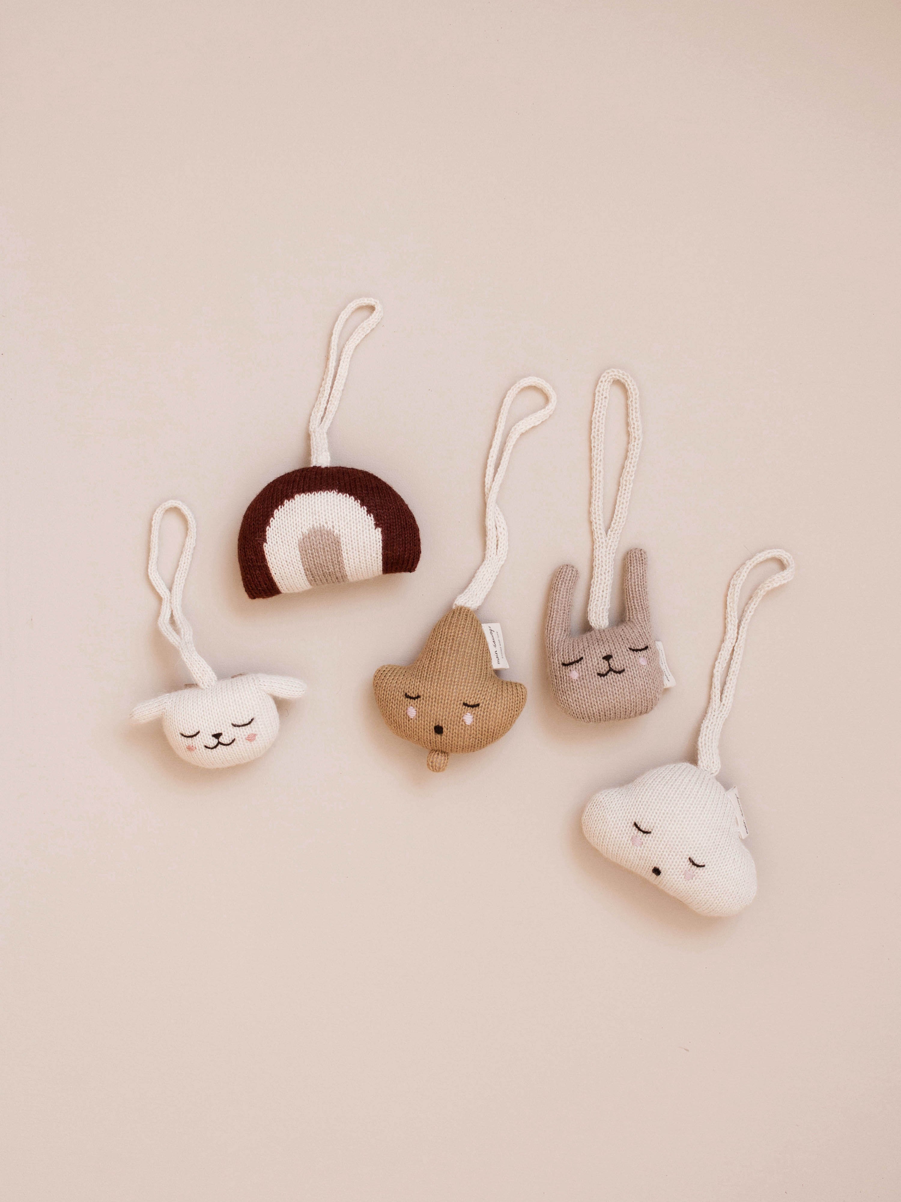 Cloud Hanging Rattle