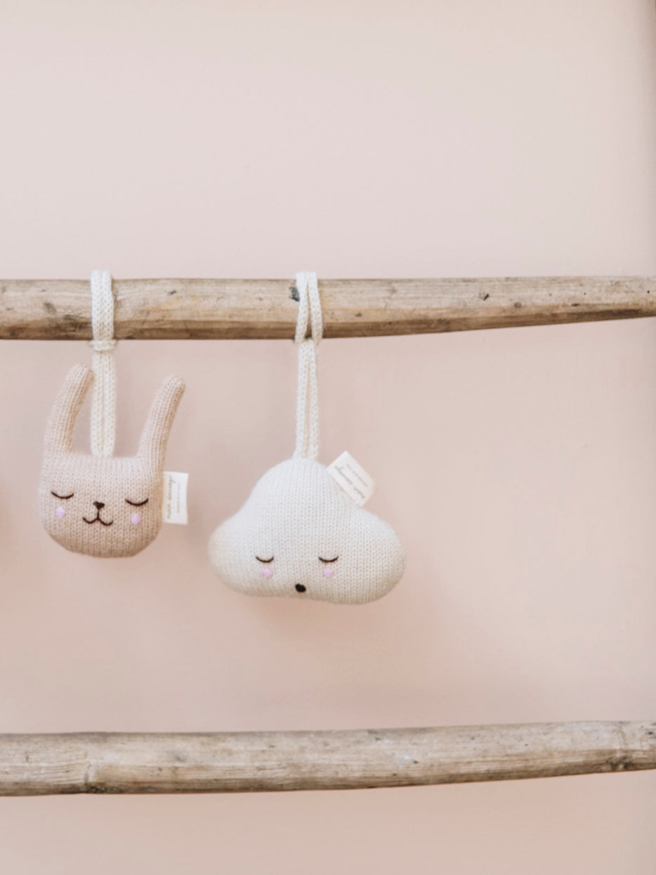 Cloud Hanging Rattle