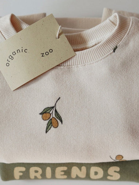 Organic Cotton Baby Sweatshirts and Long Sleeve Jerseys