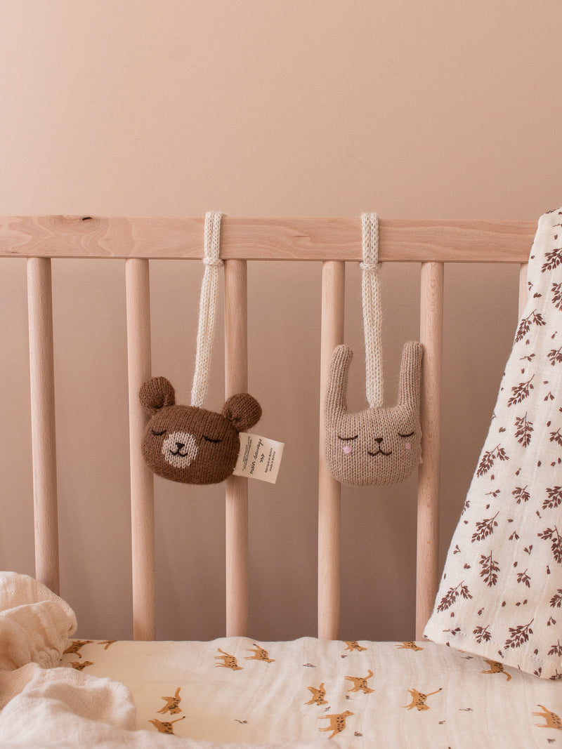 Teddy Hanging Rattle